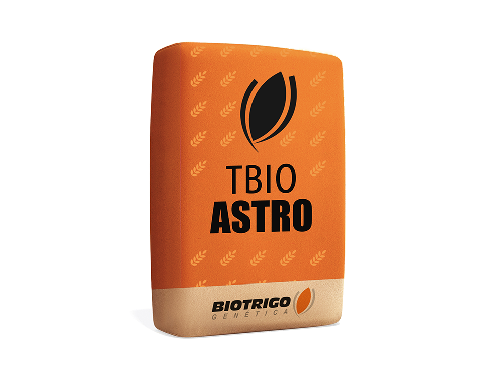 Semente trigo TBIO ASTRO TSI-B